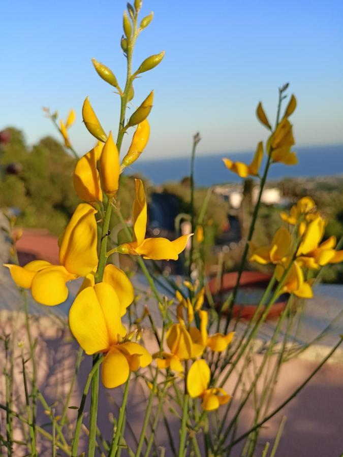 La Petite Maison Aci Castello Eksteriør billede